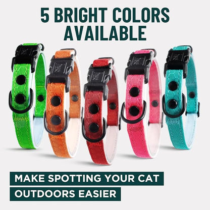 OutdoorBengal Orange Breakaway Kitten Collar - Image 7