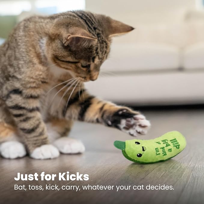 Catstages Crunchy Pickle Kicker Cat Toy – Plush Crinkle Toy - Image 7