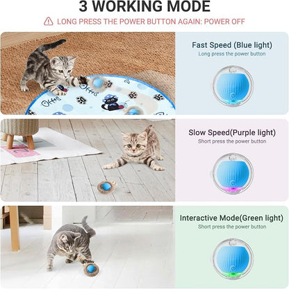 Interactive Cat Toys for Indoor Cats 2025 New Speedy Ball - Image 4