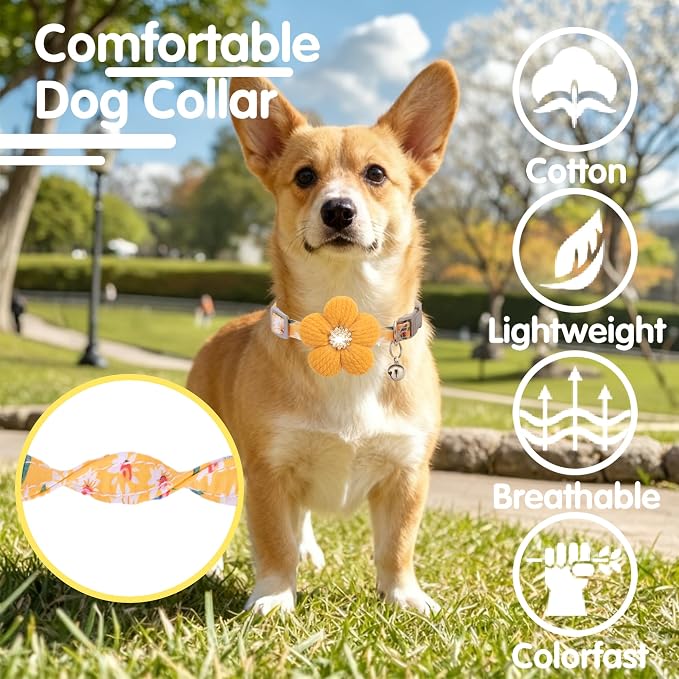 Small Dog Collar with Flower, Puppy Collar - Image 4