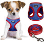 YIMEIS Dog Harness and Leash Set, No Pull Soft Mesh Pet Harness, Reflective by YIMEIS