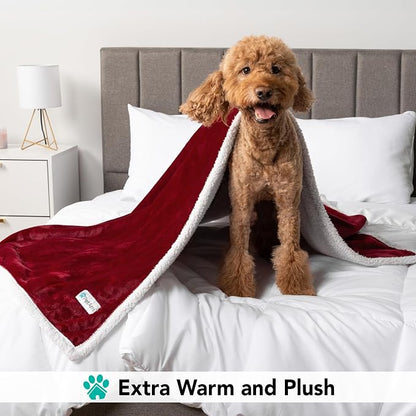 PetAmi Dog Blanket for Small Medium Dogs, Pet Bed Blanket Cat Puppy Kitten - Image 4