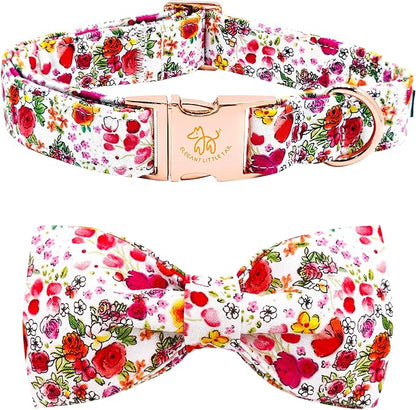 Elegant little tail Dog Collar by Elegantlittletail
