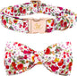 Elegant little tail Dog Collar by Elegantlittletail
