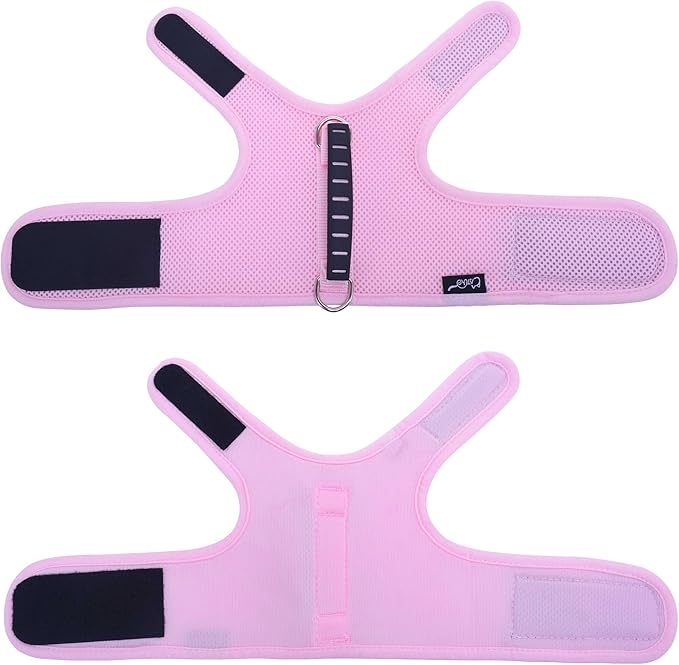 Kitty Harness and Leash for Walking Escape Proof Breathable Mesh Fabric - Image 8