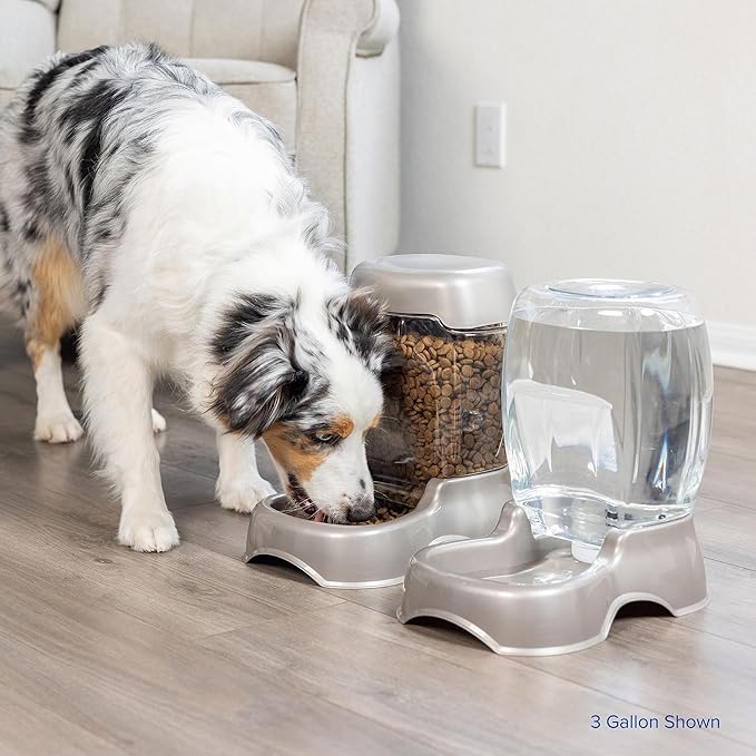 Petmate Pet Cafe Cat and Dog Water Dispenser - Image 7