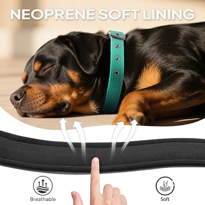PetiFine Dog Collars for Small Dogs, Neoprene Padded Dog Collar, Reflective - Image 4