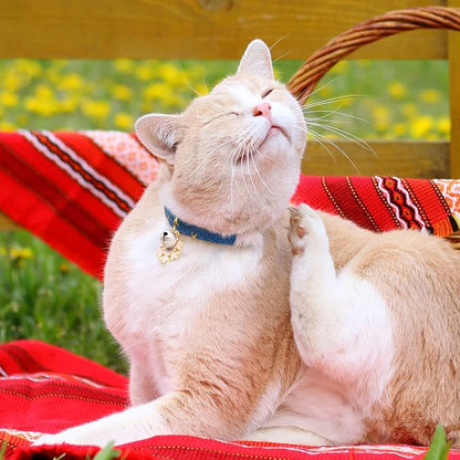2 Pack Cotton Breakaway Cat Collar - Image 7