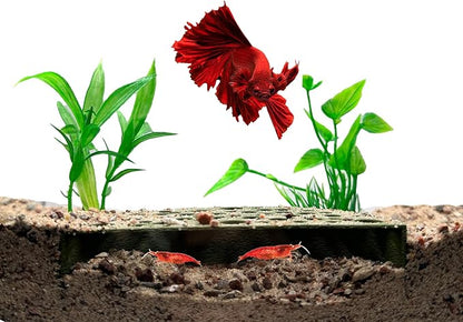 Shrimp Breeding Protector | Shrimp Breeding Cave Aquarium Tunnel | CTWPets by CTWPets