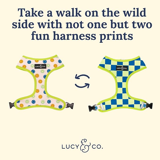Lucy & Co. Lime Green with Blue Checker Smiley Faces, Cute Reversible Dog - Image 5