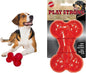 SPOT Play Strong Bone- Durable TPR Long Lasting Dog Chew by SPOT