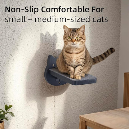 ESPETS Black Painted Solid Wood Cat Wall Climbing Steps Set of 3 - Image 5