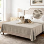 H.VERSAILTEX Non Slip Pet Couch Cover Chenille Dog Bed Protector Thick Soft by HVERSAILTEX