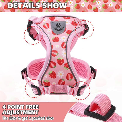 KOOLTAIL Cat Harness and Leash Set, Escape Proof - Image 2