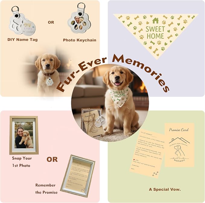 Welcome Home Dog Gift Basket - Image 6