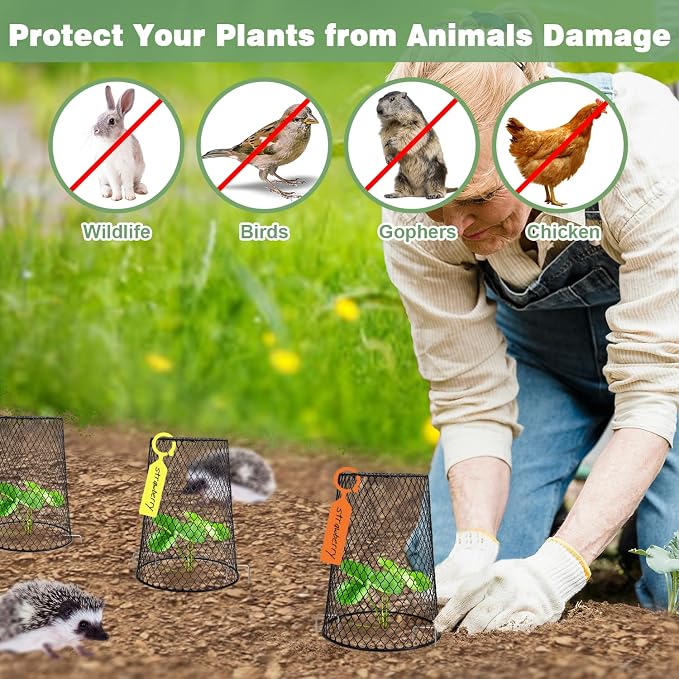 10 Pcs 6.8"×7.4" Seedling Plant Protectors from Animals, Chicken Wire Plant - Image 4