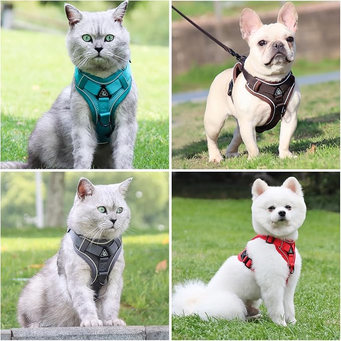 Escape Proof Kitten Harness and Leash Set - Image 6