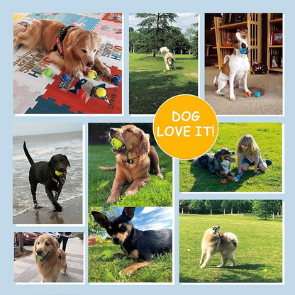 Squeaky Tennis Balls for Dogs - Image 8