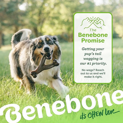 Benebone Peanut Butter Flavored Wishbone Chew Toy - Image 6