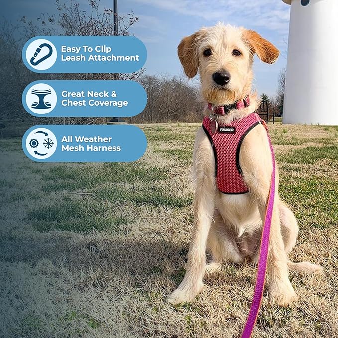 Voyager Step-in Air Dog Harness - Image 3