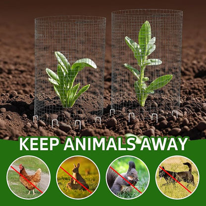 CIEOVO Wire Plant Protector from Animals, Metal Mesh Plant Cage Covers - Image 7