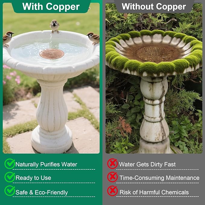 2 Pcs Bird Bath Copper Disk | 99.99% Pure Copper Plate & Birdbath Disk | 0.6mm - Image 2