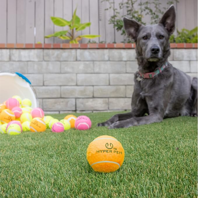 Hyper Pet MINI Tennis Balls for Dogs Safe Dog Toys & Tennis Balls for Exercise - Image 4