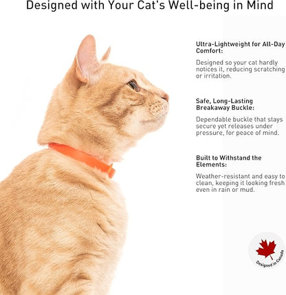 3 Pack Breakaway Cat Collar - Image 5