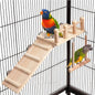 Bird Perches Platform Swing by FrgKbTm