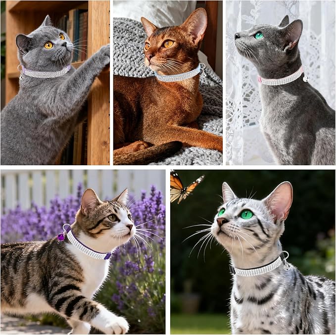 EXPAWLORER Soft Velvet Safe Cat Collars - Image 8