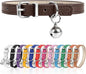 XS Dog Collar for Teacup Adjustable Teacup Dog Collar for Small Medium Large by Engorgio