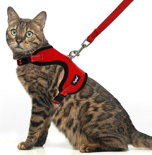 PUPTECK Cat Harness and Leash Set Escape Proof, Reflective Adjustable Soft Mesh by PUPTECK