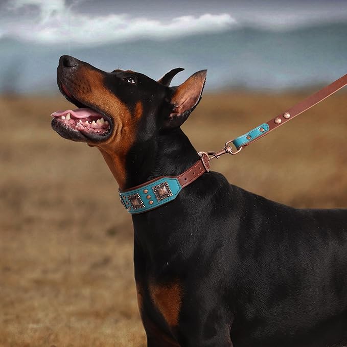PET ARTIST Soft Padded Leather Dog Collar, 2 inch Wide Genuine Leather Dog - Image 2