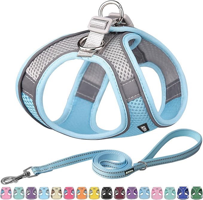 AIITLE Dog Harness, No-Pull Cat Harness by AIITLE-FORPETSBETTERLIFE