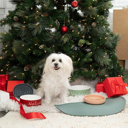 Should We Go - Waterproof Silicone Pet Food Mat - Non-Slip, Spill-Proof Feeding - Image 7