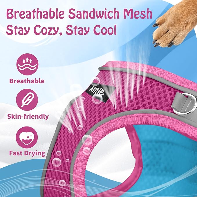 AIITLE Dog Harness, No-Pull Cat Harness - Image 8