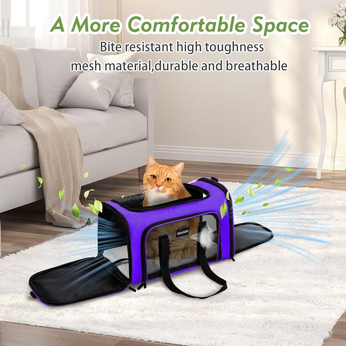 Soundy Large Cat Carrier Dog Carrier Under 25 Lbs, Collapsible Ventilated - Image 6