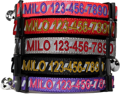 Pawtitas Personalized Pink Reflective Cat Collar – Adjustable Custom Collar by Pawtitas