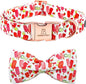 Lionheart glory Dog Collar, Dog Collar by LionheartGlory