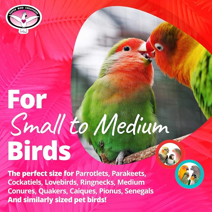 Super Bird Creations SB1086 Having a Ball Bird Toy - Image 3