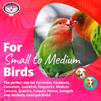 Super Bird Creations SB1086 Having a Ball Bird Toy - Image 3