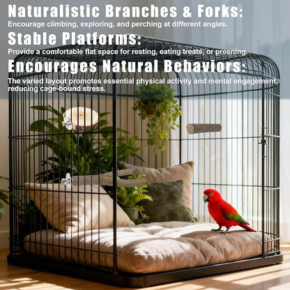 6 PCS Bird Perch Set, Natural Birch Wood Straight & Forked Perches - Image 4