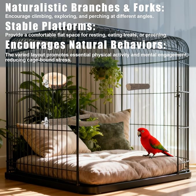 8 PCS Bird Perch Set, Natural Birch Wood Straight & Forked Perches - Image 4
