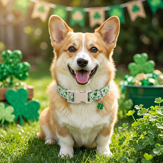 Dog Collars for Medium Dogs, Medium Girl Boy Pet Collar - Image 3