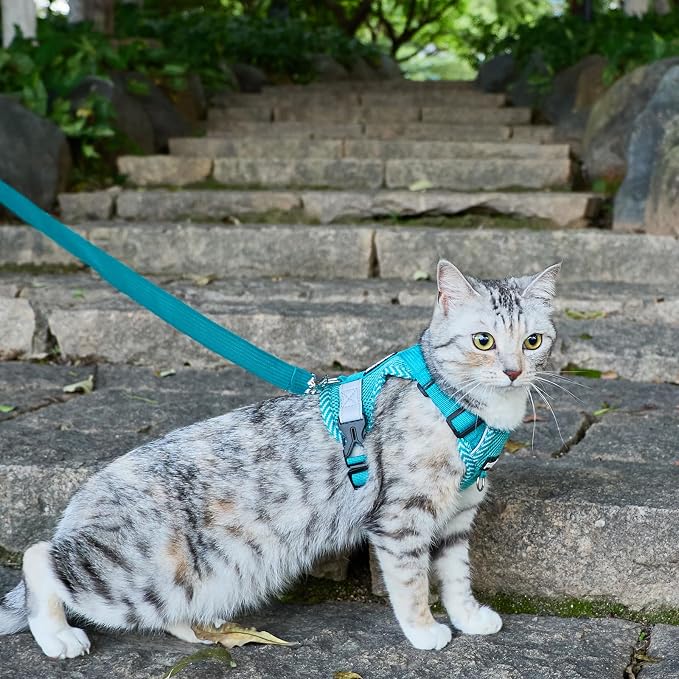Cat Harness and Leash Escape Proof Large Kitten Harness Ragdoll Cat Vest - Image 8