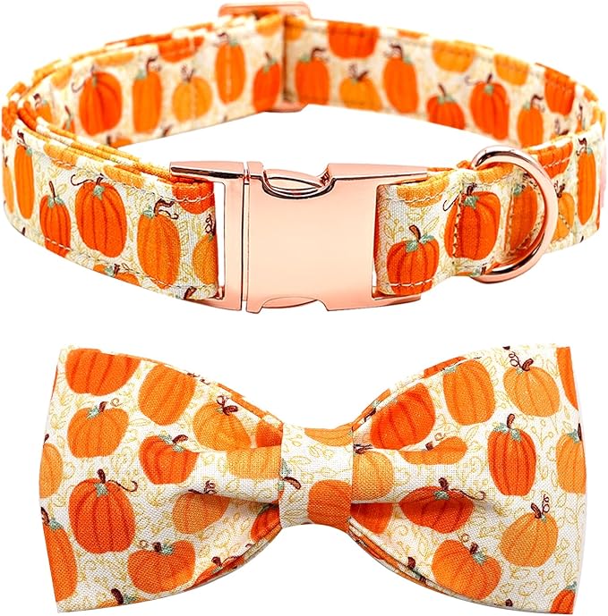 Dog Collar - Halloween Pumpkin Bowtie Dog Collars Gift Soft Bow Collar Pet by BoboRainbow