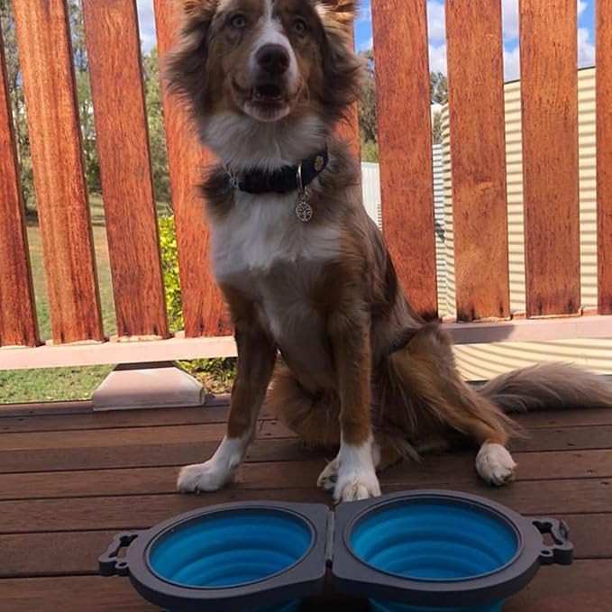 Loving Pets 73807991: Travel Double Diner Dog Bowl - Image 7