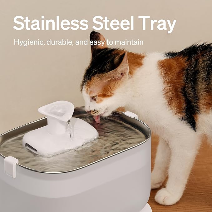 PETLIBRO Cat Water Fountain + PETLIBRO Genuine 4 Packs Filters, Cat Fountain - Image 4