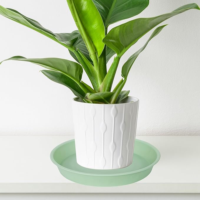 6 Pack of 10 inch Plant Saucer Blue, Heavy Duty Plastic Plant Saucer 10 inch - Image 5