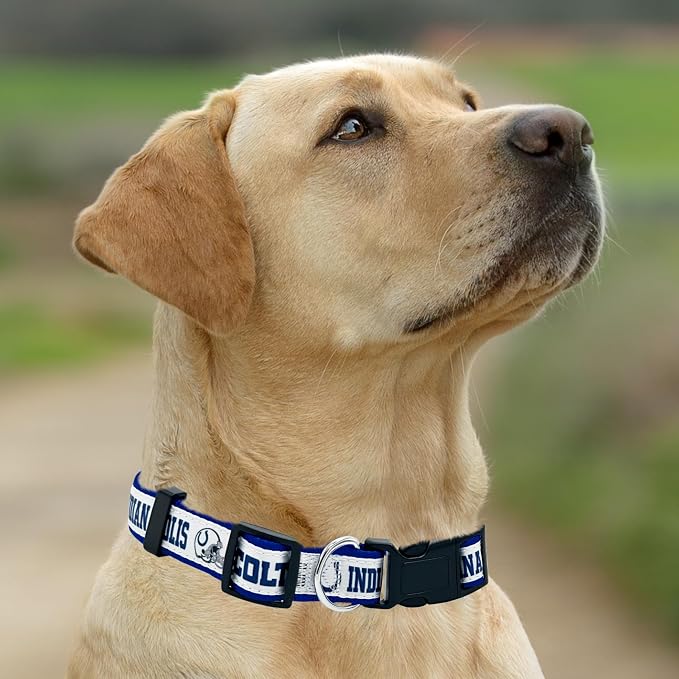 New & Improved Pets First NFL Licensed PET Collar- Heavy-Duty, and Durable New - Image 5